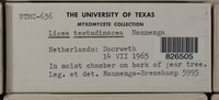 Image Associated With the Occurence